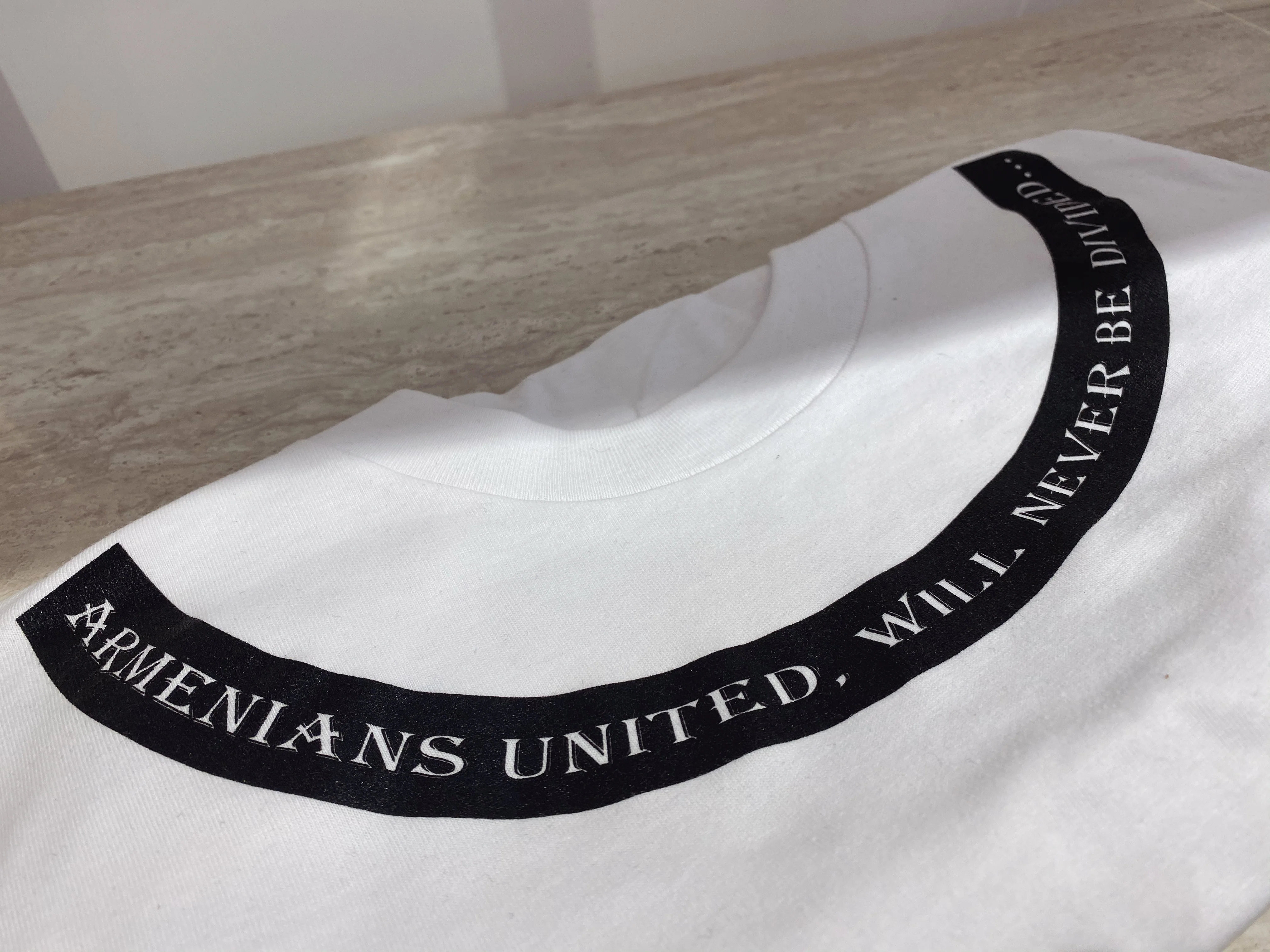 ‘ARMENIANS UNITED, WILL NEVER BE DIVIDED’ - Image 3