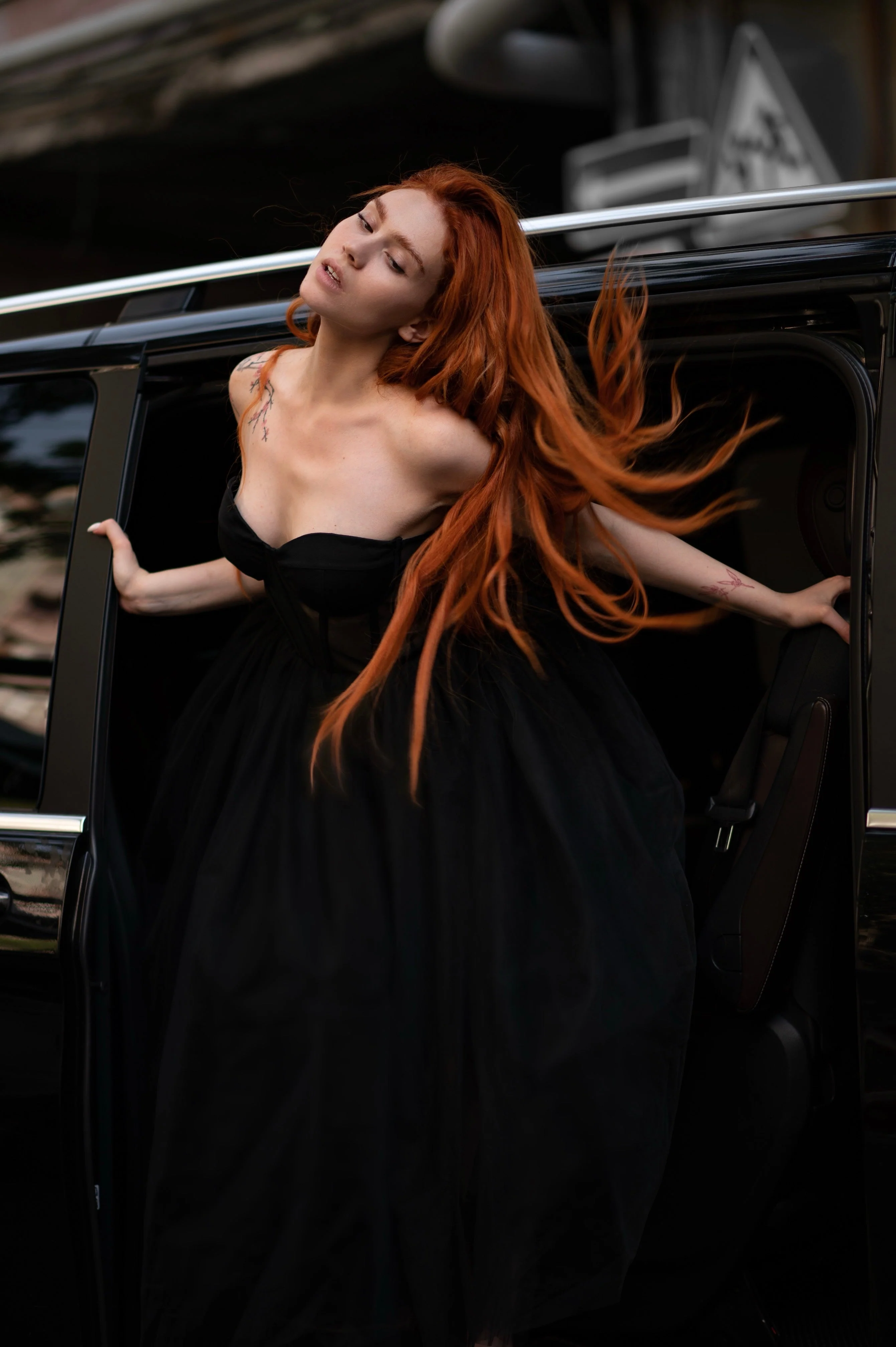 ‘Black Pigeon' Dress - Image 5